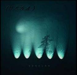 Cocaine - A Sick Mind's Hologram